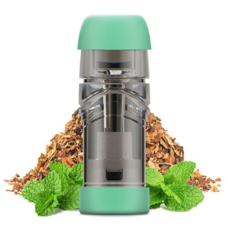 MINT TOBACCO KIWI POD PRERICARICATE (2 PEZZI)