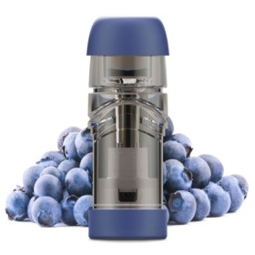 BLUEBERRY KIWI POD PRERICARICATE (2 PEZZI)