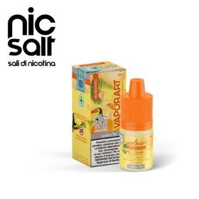 MANGHITO 10ML TPD AI SALI DI NICOTINA VAPORART