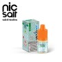 MENTA 10ML TPD AI SALI DI NICOTINA VAPORART