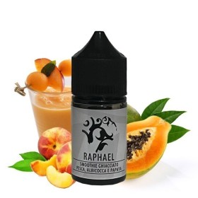 RAPHAEL PREMIUM SILVER MINISHOT HOLYVAPE
