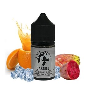 GABRIEL PREMIUM SILVER MINISHOT HOLYVAPE