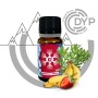 ASSENZIO E FRUTTA K2 MINI SHOT 10ML DYP