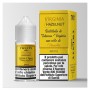 VIRGINIA HAZELNUT MINISHOT 10ML TNT VAPE