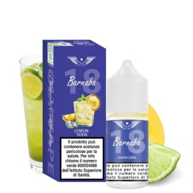 BARNABA MINI SHOT 10ML HOLYVAPE