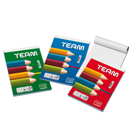 BLOCCO NOTE TEAM - 5 MM - 150 X 210 MM - 50GR - 50 FOGLI - BLASETTI