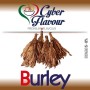 AROMA CONCENTRATO BURLEY CYBER FLAVOUR