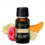 PARADIGMA AROMA 10ML GOLDWAVE