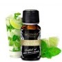 CUBAJITO AROMA 10ml GOLDWAVE