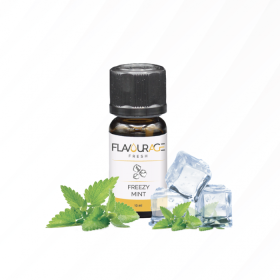 FREEZY MINT AROMA 10ML FLAVOURAGE