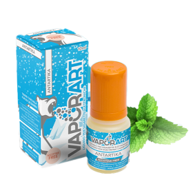 ANTARTIKA MINT 10ML - VAPORART
