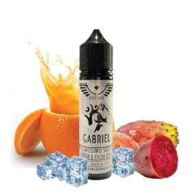 GABRIEL PREMIUM SILVER SHOT 20ML HOLYVAPE