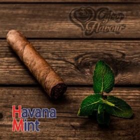 HAVANA MINT AROMA 10ML CYBERFLAVOUR